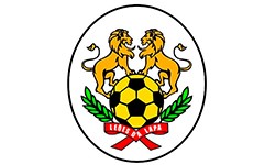 Leões da Lapa Futebol Clube